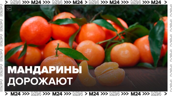 Стоимость мандаринов выросла на 70% в столичных магазинах в течение 2023 года - Москва 24