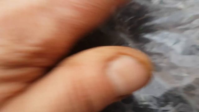 ПЕТУНИЯ ПОСЕВ ПРОСТОЙ СПОСОБ?БЕЗ ПИКИРОВКИ ПОСЕВ ПЕТУНИИ СЕМЕНАМИ
