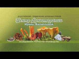 О центре фунготерапии. Сахарный диабет.