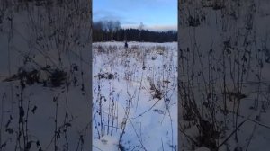 мотоцикл Восход на гусенице зима 2016