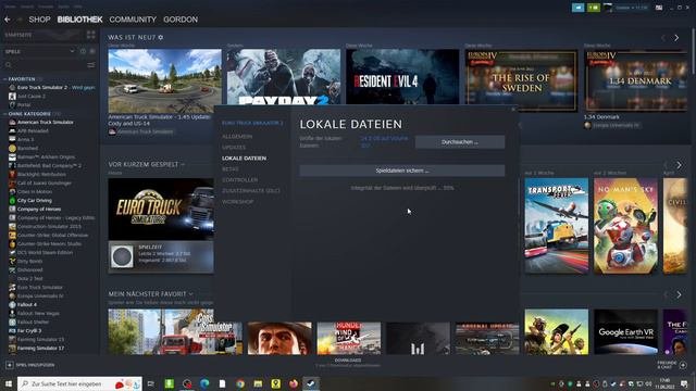 Application Fatal Error ETS 2 – Einfach Beheben  Application Fatal Error ETS 2 - Easy To Fix