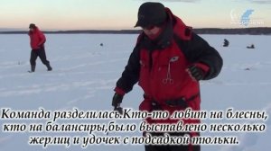 Река Волга, Красный Оселок. Ловля берша