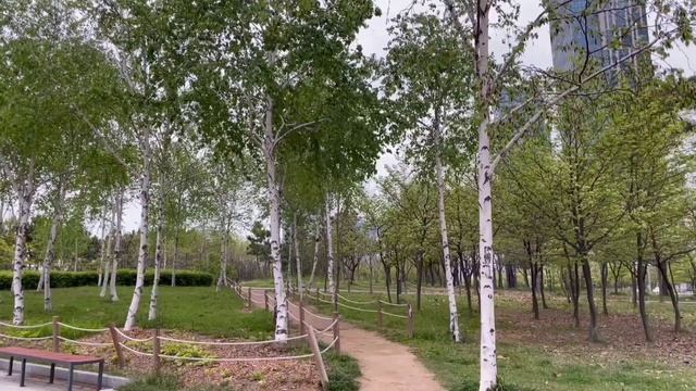 Великолепный парк Сонгдо | Вечерняя прогулка по Корее|Инчхон