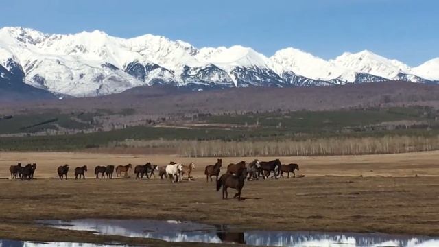 Аршан. Байкал. Сибирь. Красота