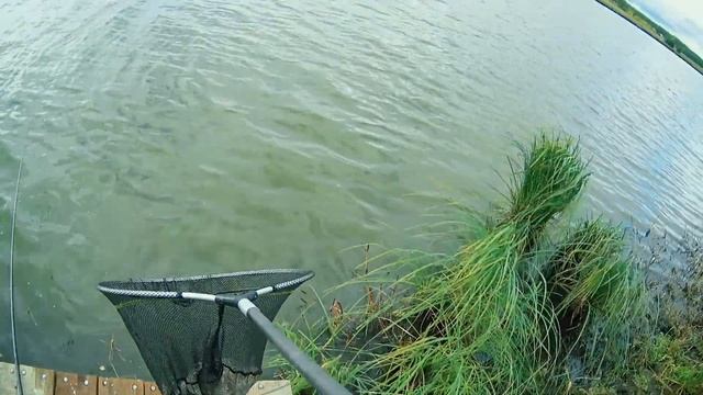 Рыбалка в РК Кутузово, Карп на Фидер, Рыбалка в Подмосковье смотреть онлайн