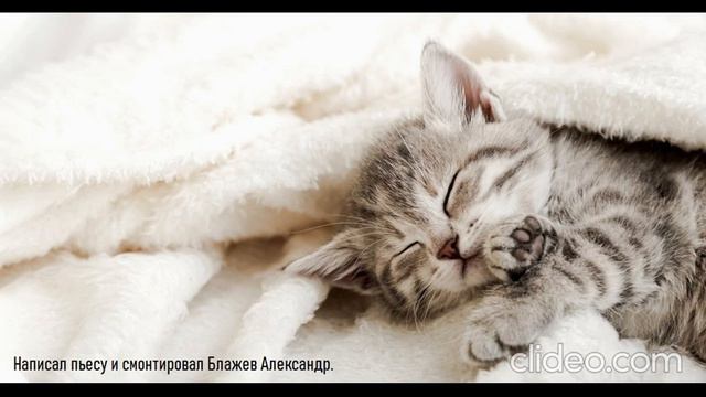 Котёнок не может уснуть. смотреть онлайн