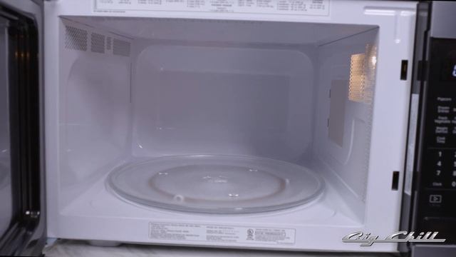 Big Chill Pro Microwave (Tour) смотреть онлайн