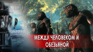 Переходный вид между обезьяной и человеком. Странное дело. Документальный проект (25.11.2020).