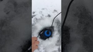 Garmin Striker 4 with GT8HW-IF (мормышка)