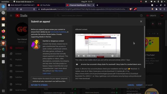 Jni error has occurred in Burp Suite Pro | Strike Appeal смотреть онлайн