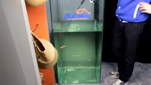 Обзор катушки 13 Fishing Black Betty Free Fall Ghost Ice Reel