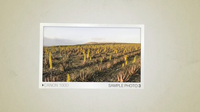 Nikon D5200 vs Canon 100D: Which Camera Is Better? (With Ratings & Sample Footage) смотреть онлайн