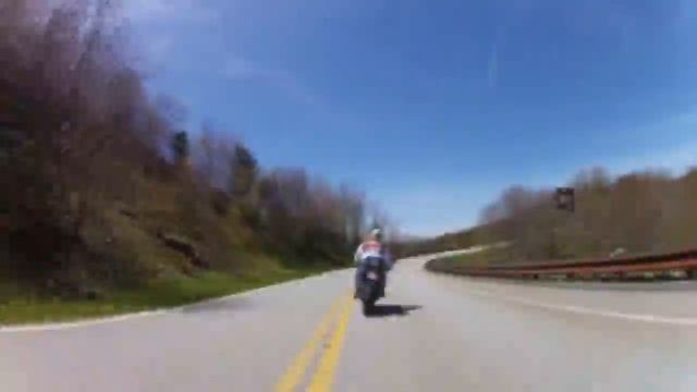 Bacon Run III смотреть онлайн