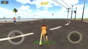 Animal Rampage iPhone Gameplay