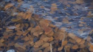 Женя Любич | Нам не быть вместе | Jenya Lubich Music video