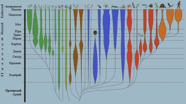 Теория эволюции (рассказывает палеонтолог Александр Марков) смотреть онлайн
