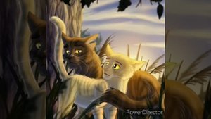 Песни в головах Котов Воителей #2