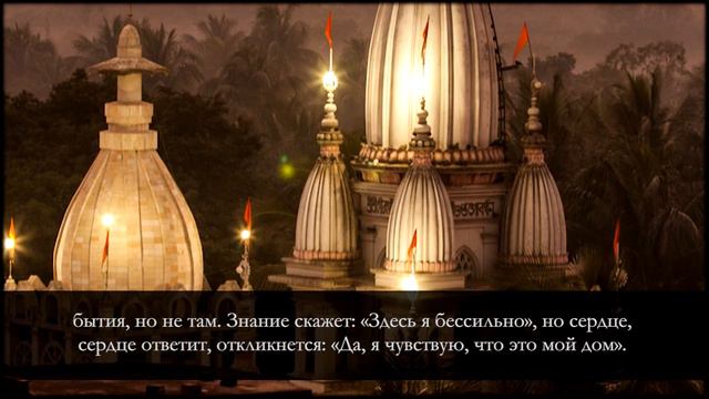 Капли нектара | Одобрение сердца | Вера выше расчета