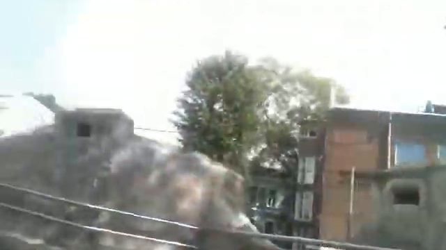 Поездка в Московский Зоопарк. Часть 3. 29.07.2016 год. смотреть онлайн