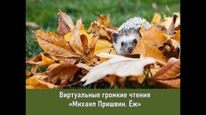 Виртуальные громкие чтения «Михаил Пришвин. Ёж»
