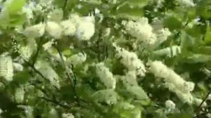 Похолодало