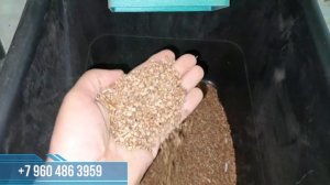 Чистим кориандр. Зерноочистка дешево и качественно!