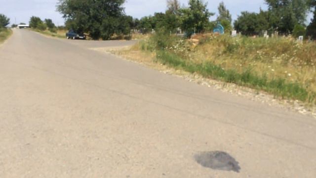 ПРОГУЛКА КУРСАВКА Ч2