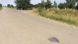 ПРОГУЛКА КУРСАВКА Ч2