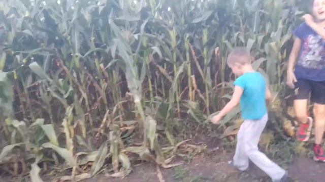 Кукурузные поля смотреть онлайн