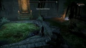 Investigate the Mnemic Egg Dream of the Hist Puzzle The Elder Scrolls Online (Shadowfen)