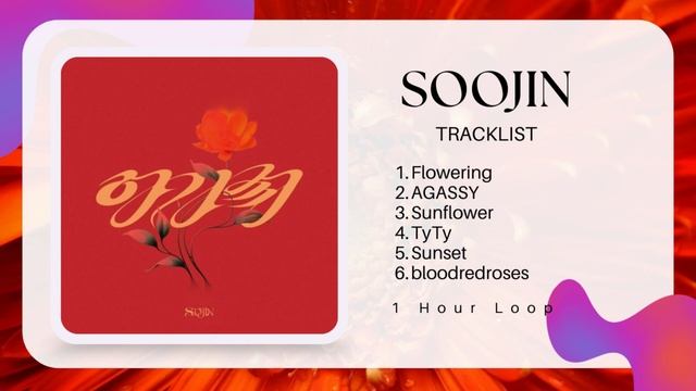 [1 Hour Loo] SOOJIN (수진) | FULL ALBUM смотреть онлайн