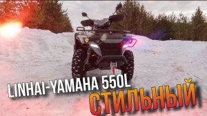 Защита KTZ для LINHAI YAMAHA 550L