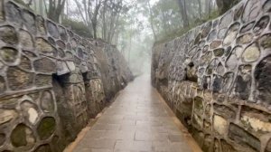 ТЯНЬМЕНЬ ГОРЫ Небесные врата, мост призрак, дорога 99 поворотов, TIANMEN MOUNTAINS ZHANGJIAJIE