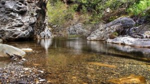 Marshall Styler. One Day in One Heart