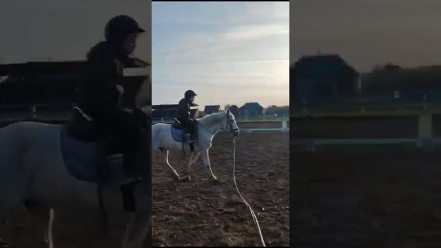 Сын обучается верховой езде смотреть онлайн