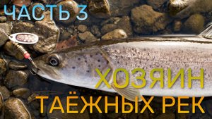 ХОЗЯИН ТАЕЖНЫХ РЕК (Часть 3) - КСЮША ЛОВИТ ТАЙМЕНЯ и выигрывает