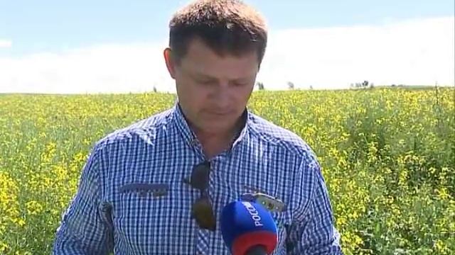 Своя земля. Племзавод "Комсомолец" смотреть онлайн