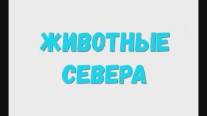 Животные севера, изучаем арктических животных.(белый медведь, песец)