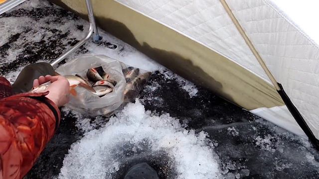 Рыбалка с утра до вечера смотреть онлайн