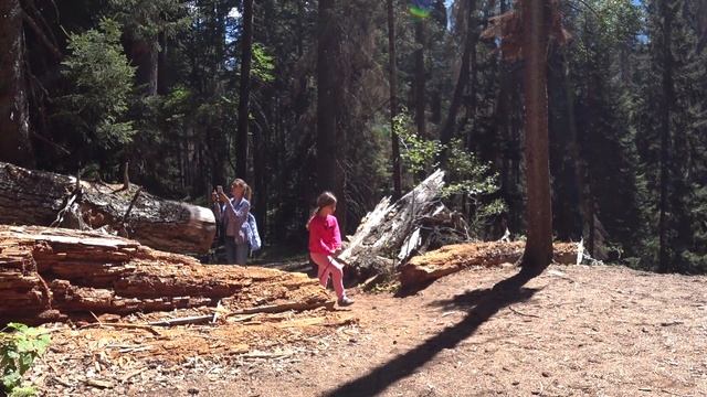Бадукские озера Теберда Домбай Бадукские озера экскурсия Бадукские озера легенда Виктория влог смотреть онлайн