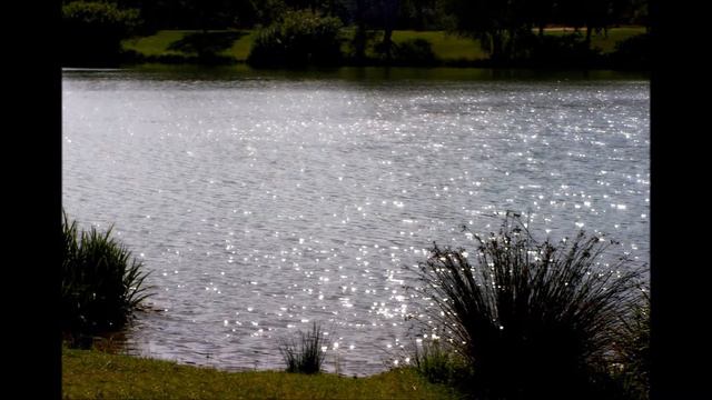 H. Duparc - Phidylé - Quartett Soprano Flute Clarinet Piano смотреть онлайн