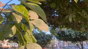 Samsung Galaxy S23 vs iPhone 14 Pro Camera Test