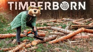 ДЕФИЦИТ ДРЕВЕСИНЫ|#15| Timberborn прохождение