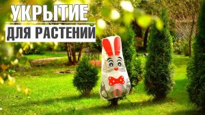 Оригинальное укрытие для растений ✔️ Укрывные колпаки для туй
