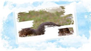 Доброго дня и хорошего настроения! Красивое пожелание доброго дня!