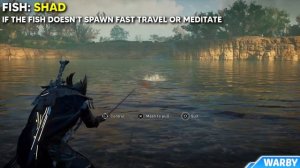 Assassin's Creed Valhalla - Big Shad Location