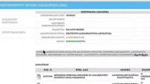 Сандро Абесламидзе Проверяем Регистрационные Документы биржи YARD EXCHANGE 1