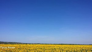 Богач вывез в деревню сынка, чтобы проучить, но когда вернулся за ним, обомлел...