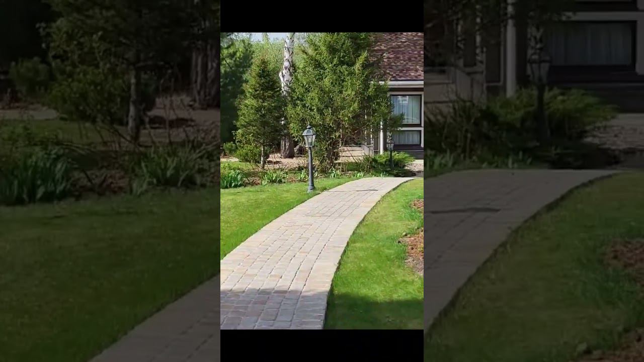 Газон без сорняков! #клематисы #сад #питомник #дача #цветы #garden смотреть онлайн