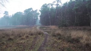 Стихи о неизвестном солдате - "Спи спокойно, солдат". Чтец Анатолий Спирин